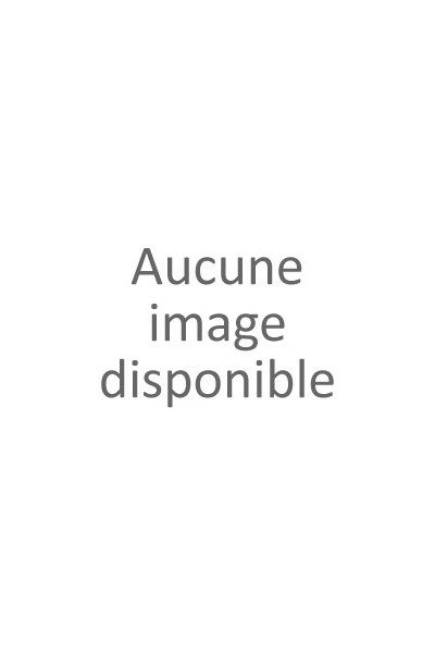 L'école face à l'IA